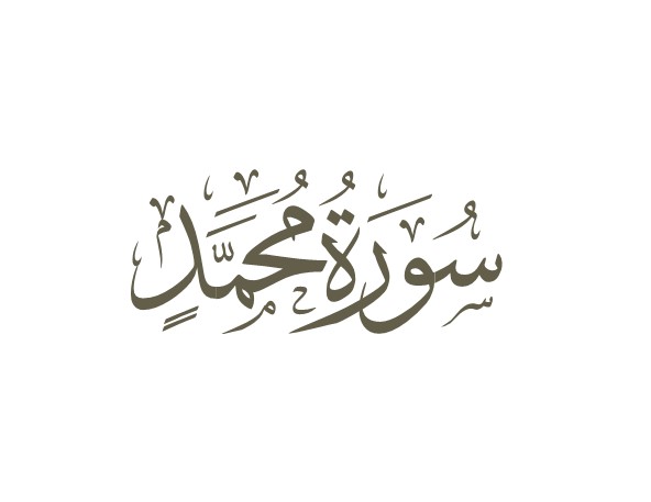 توضیحات لغوی-ادبی سوره محمد صلی‌الله‌علیه‌وآله‌وسلم